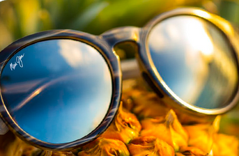 Discover polarised sunglasses