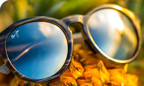 Discover polarised sunglasses