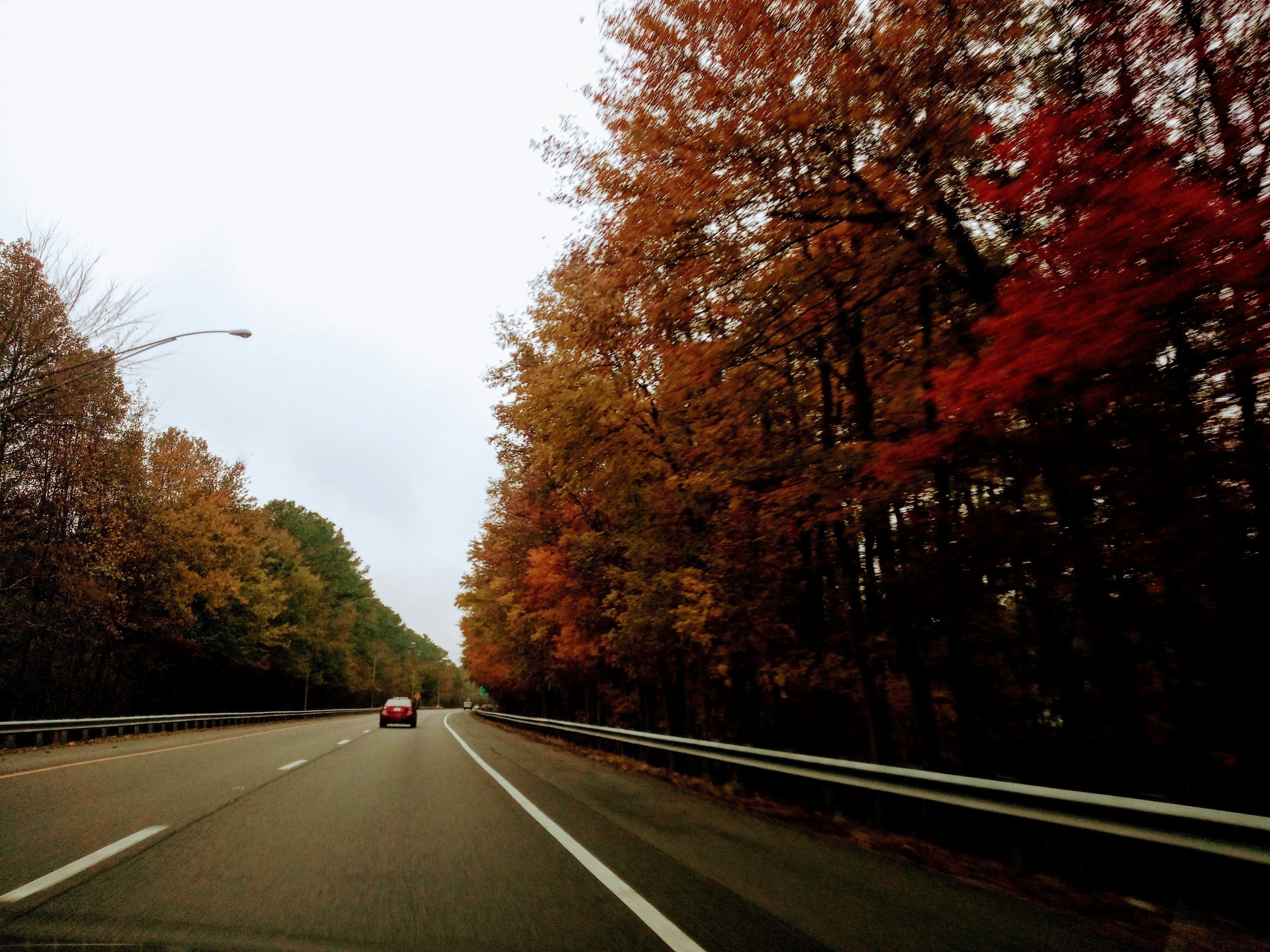 Driving at Dusk: Why Autumn Is the Trickiest Season for Your Eyes