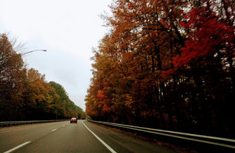 Driving at Dusk: Why Autumn Is the Trickiest Season for Your Eyes
