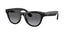 Ray-Ban Meta Skyler RW4014 Polarised Gradient Graphite