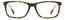 David Beckham DB 1213