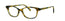 Lafont. Regard