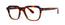 lafont. Pacte