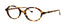 lafont. Tulipe